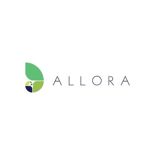 About Allora Solutions Group Medium