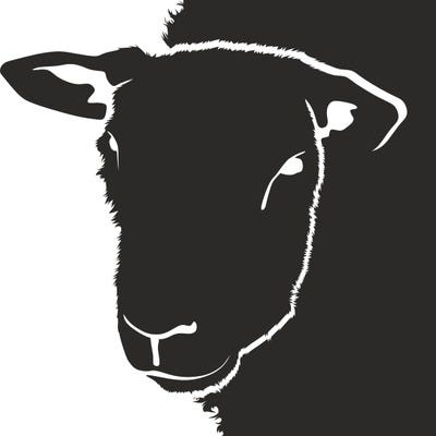 Preston Kelley – Medium