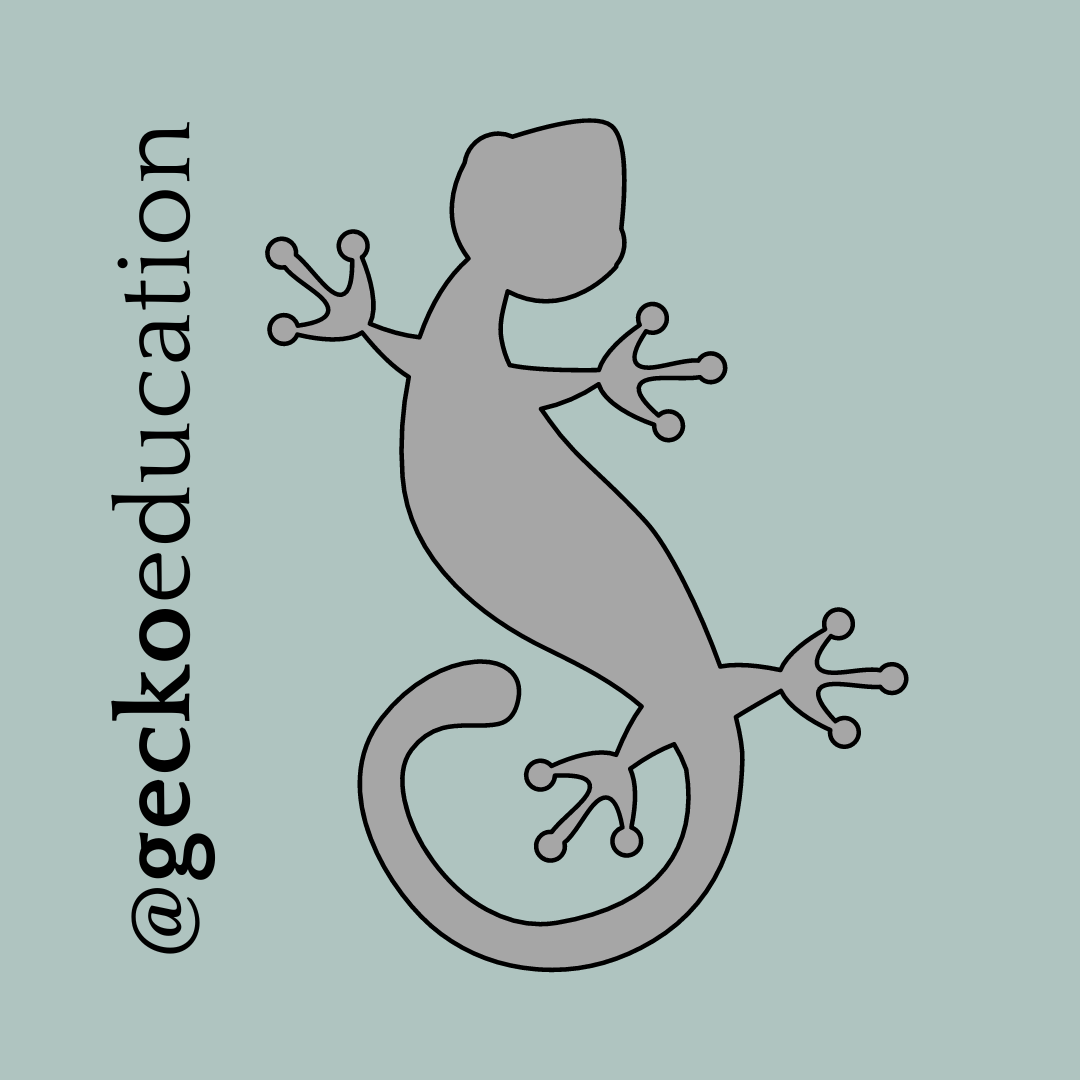 Gecko Education Medium gecko-education-medium