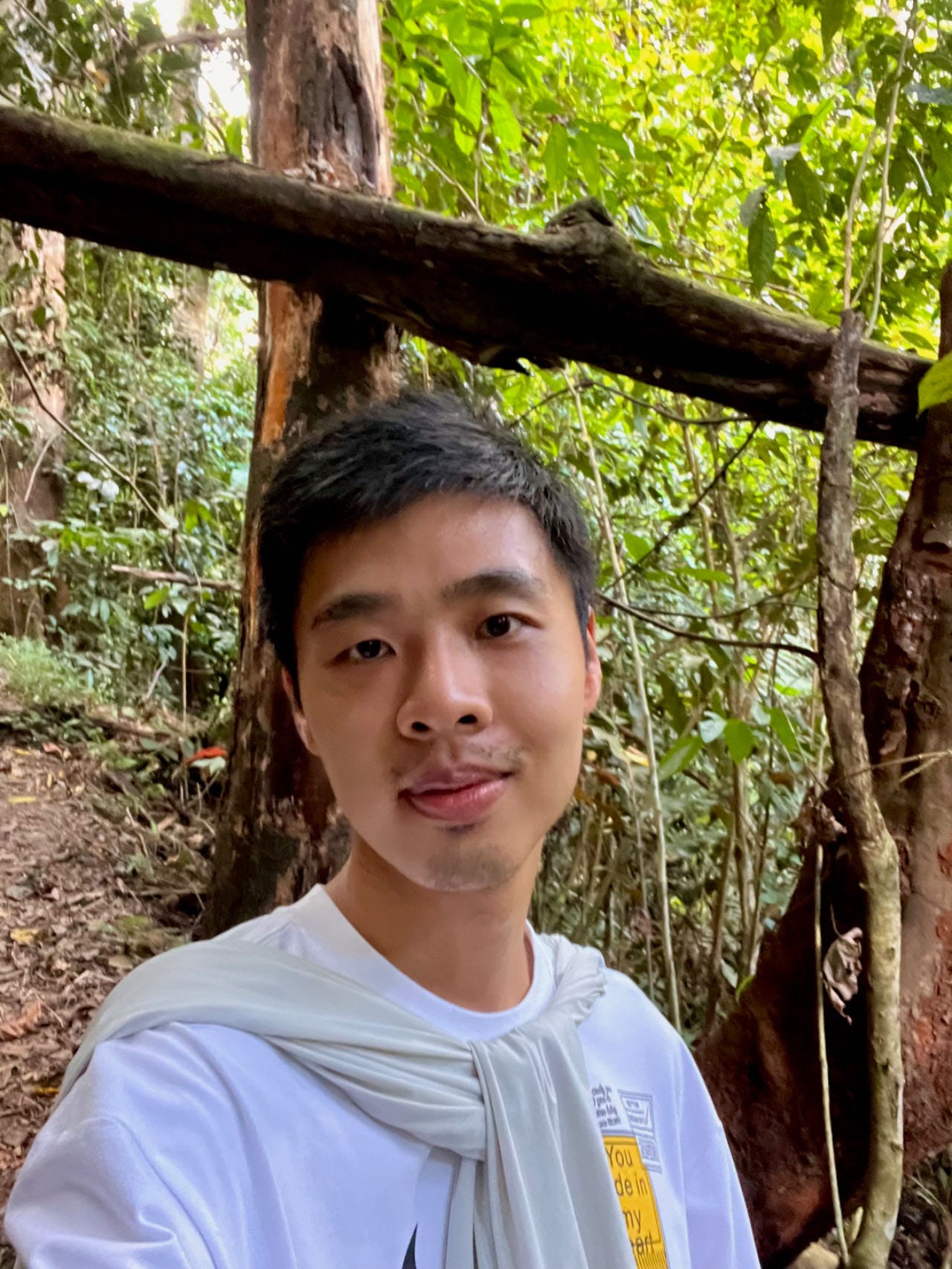 Lu Yu Medium
