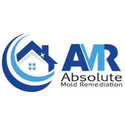 Absolutemoldremovaltoronto – Medium