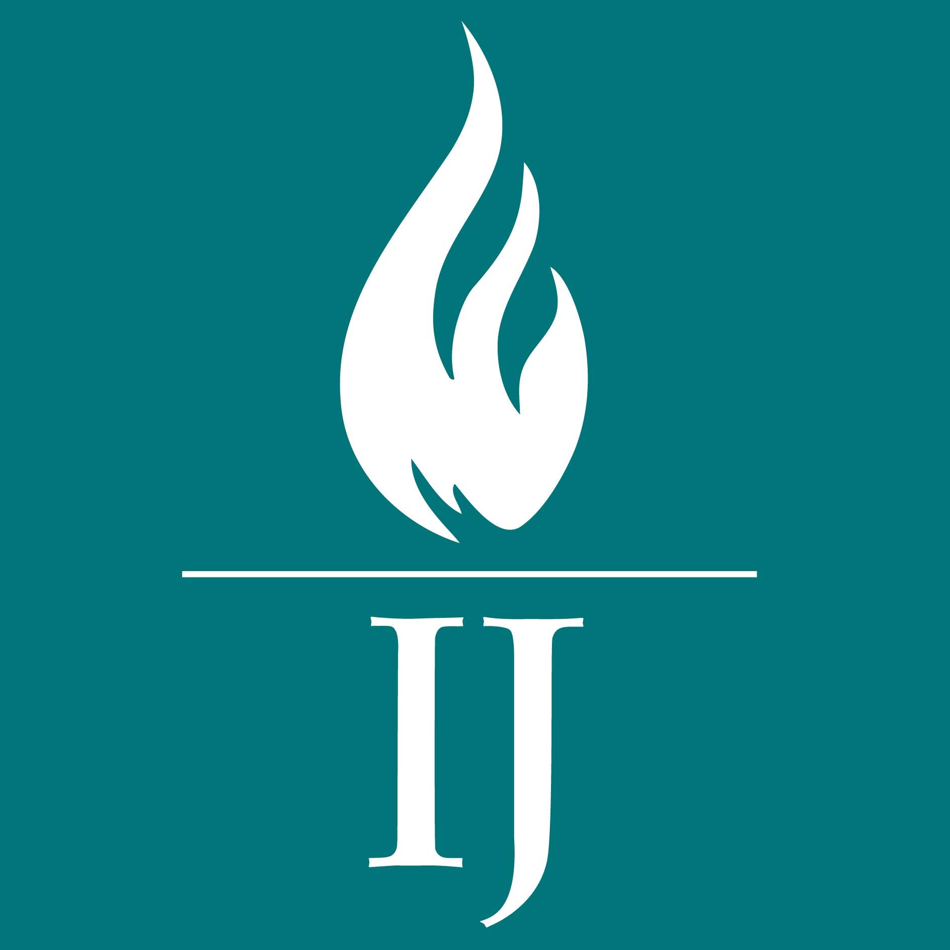 THE INSTITUTE FOR JUSTICE visual data 4