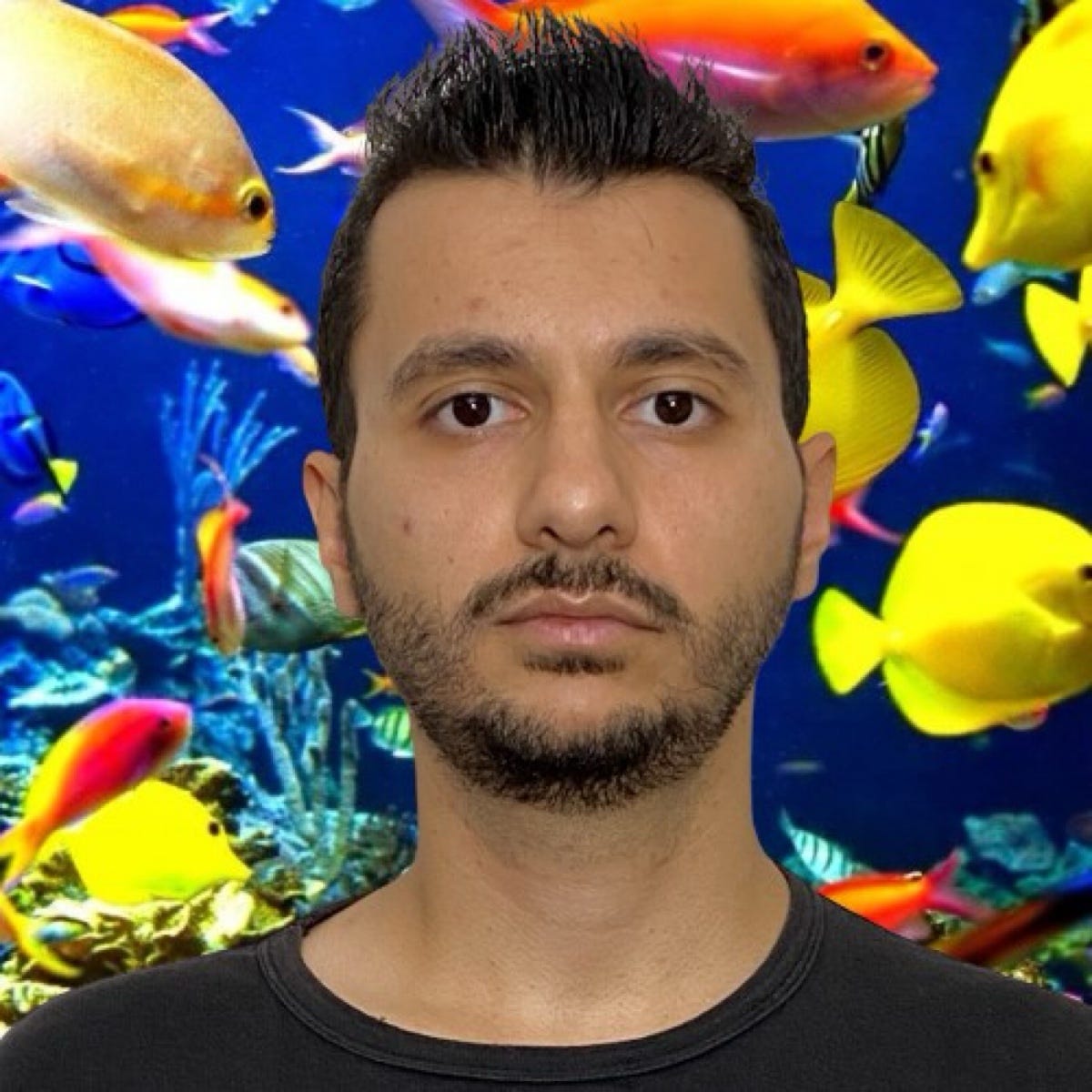Seçkin Yıldız – Medium