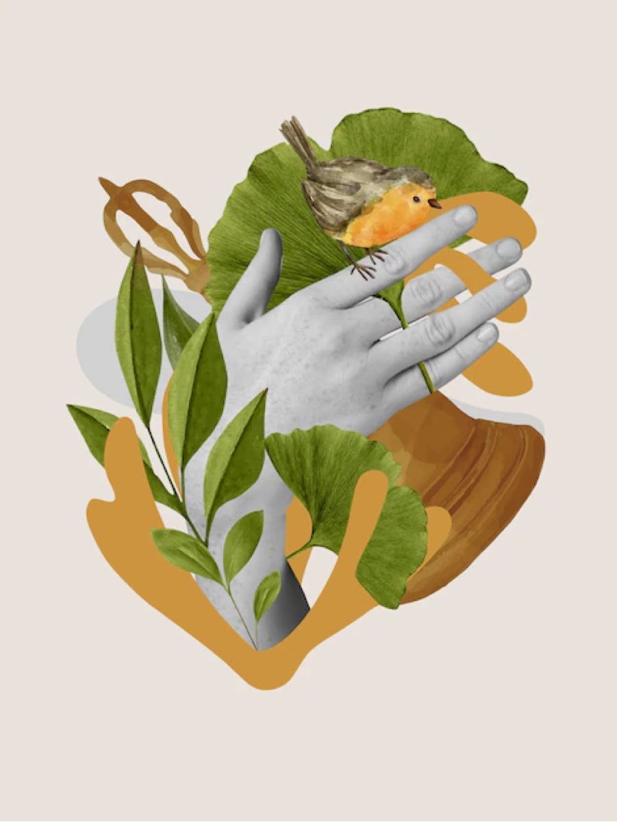 The Environmentalist Medium