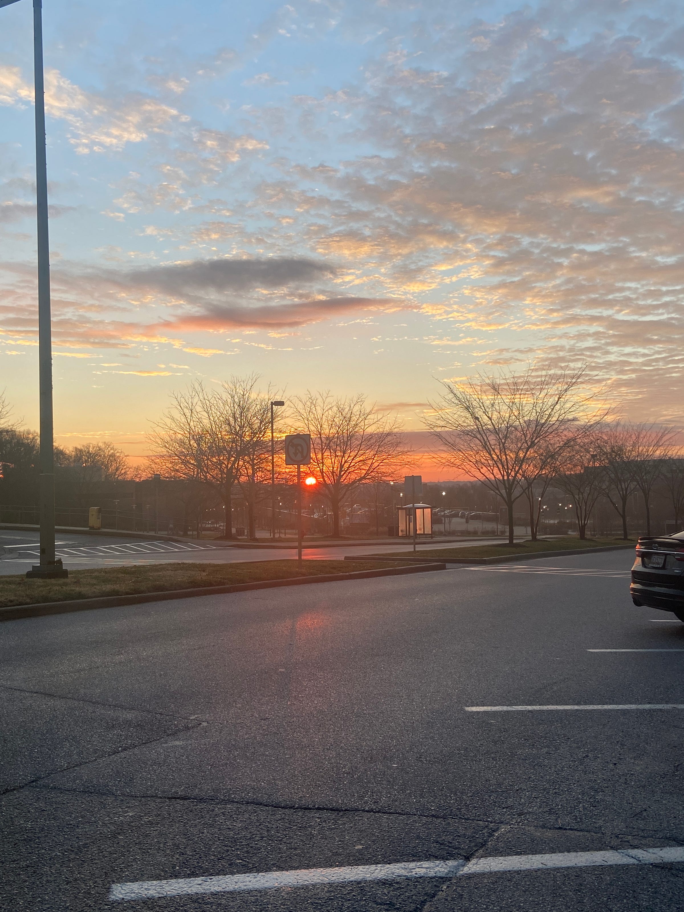 Monika Trivedi – Medium