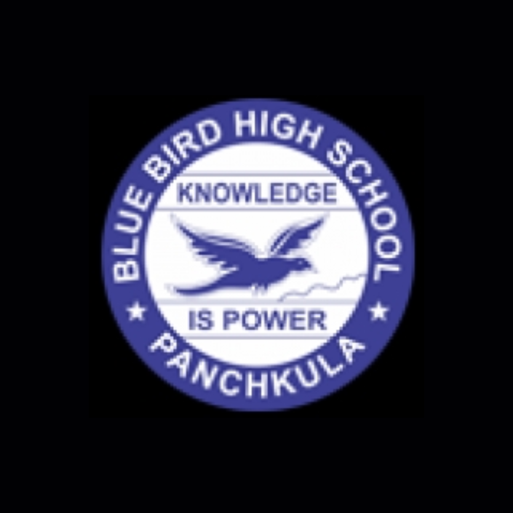 about-blue-bird-high-school-medium