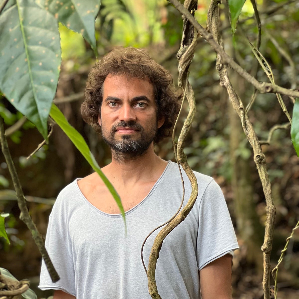 “Sequoia” David Brundige Medium