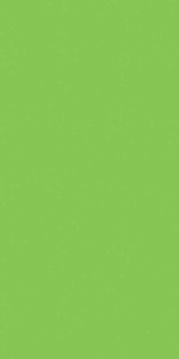 Midori medium
