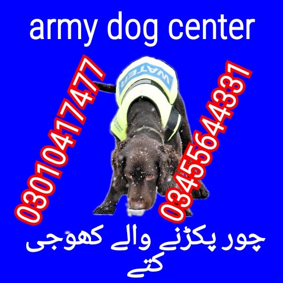 Army Dog Center Lahore 03010417477 Medium