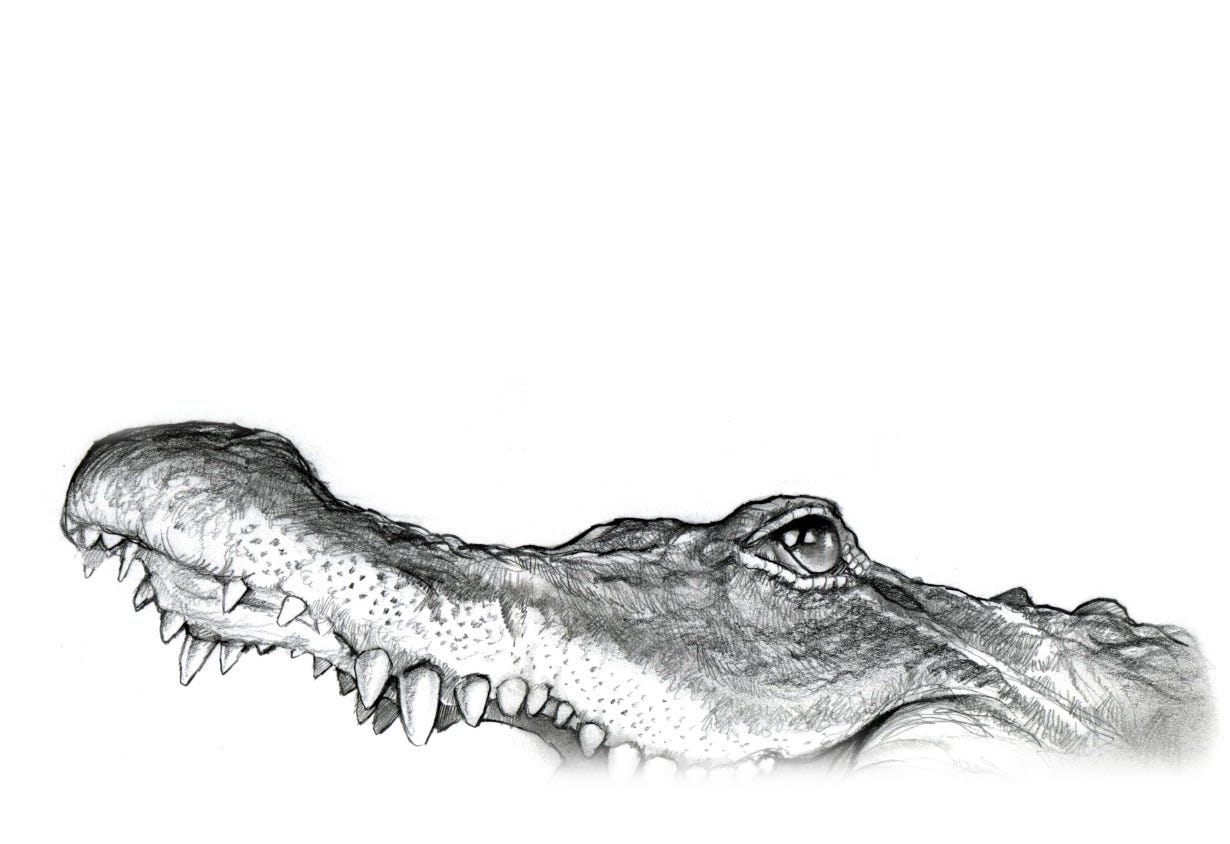 A CROC Medium ufs-4-0-is-the-next-flash-storage-specification-but-what-does-it-mean