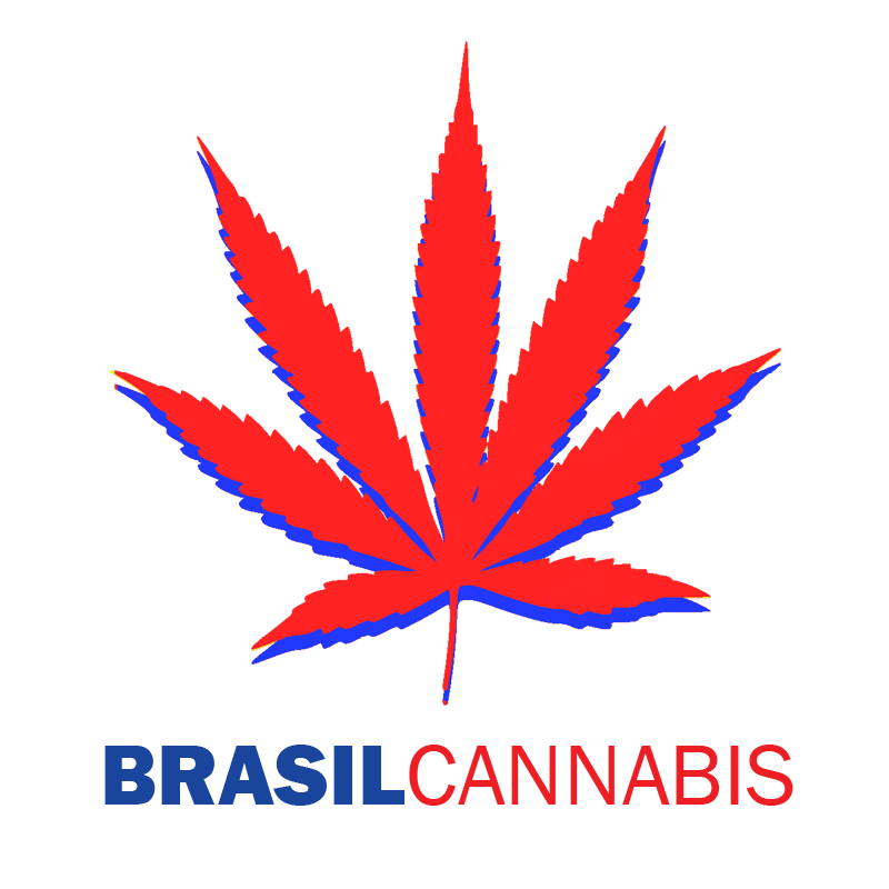 Brasil cannabis Medium brasil-cannabis-medium