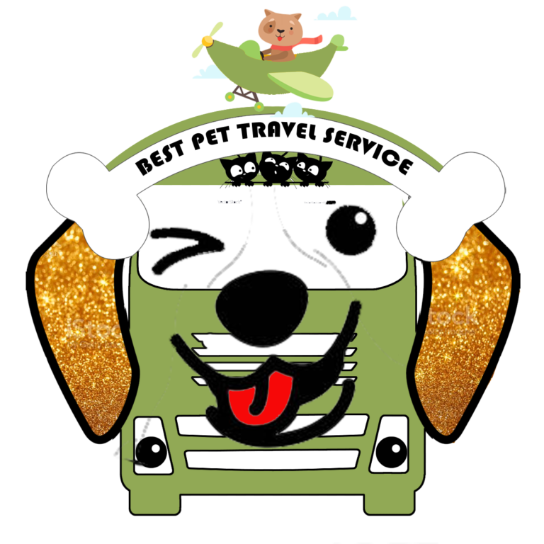 Best Pet Travel Service Medium