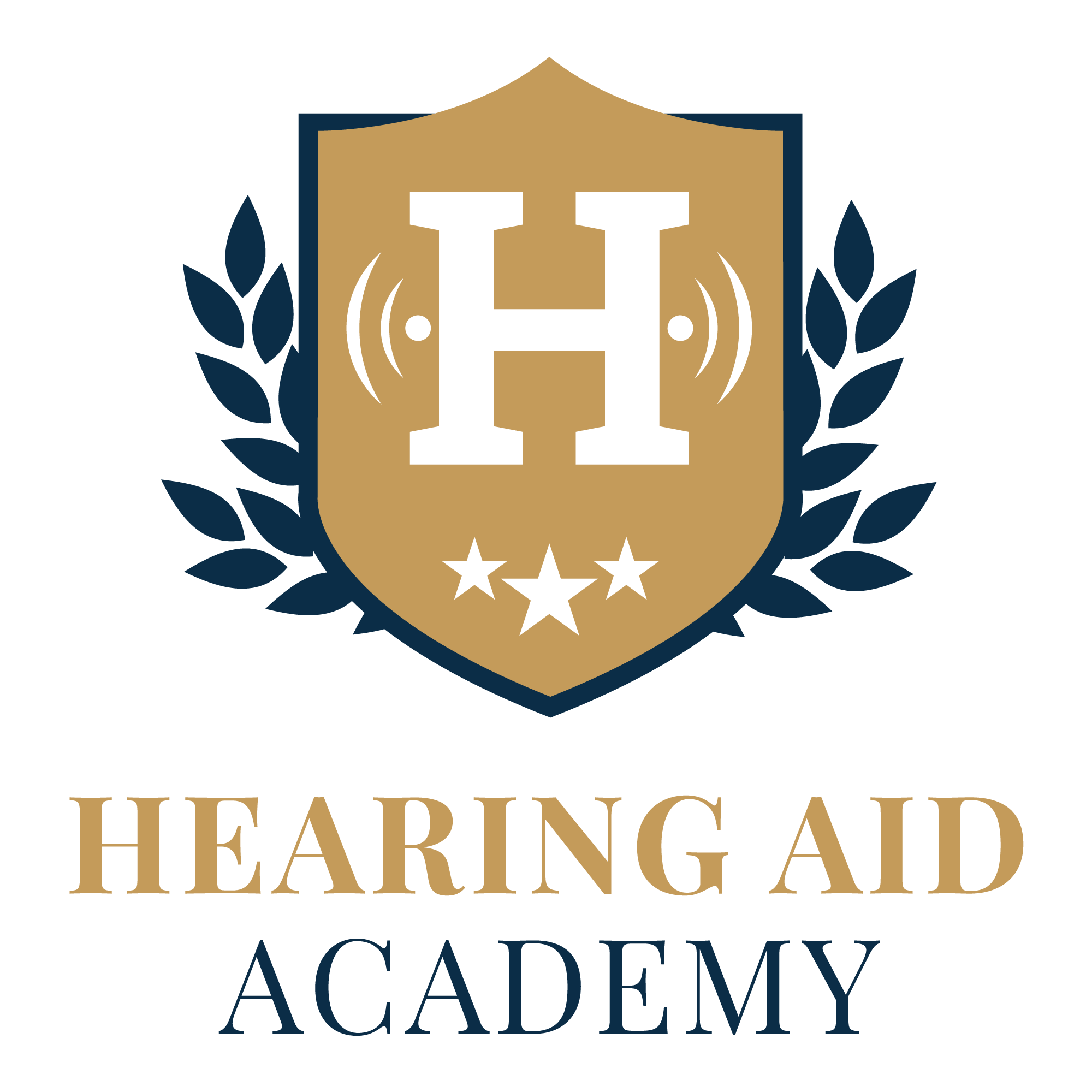 Hearing Aid Academy – Medium