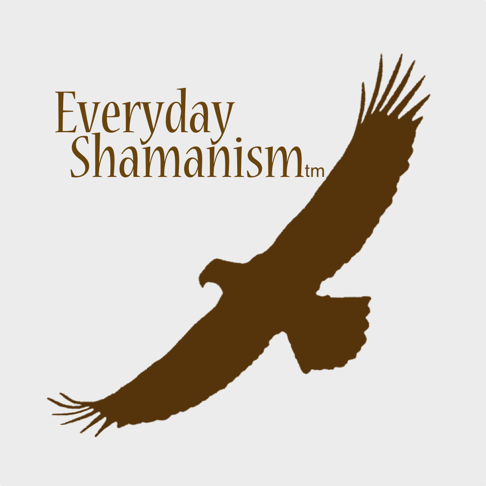 everyday-shamanism-medium