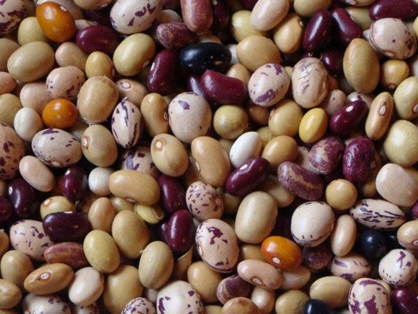 About – Bioversity International – Medium