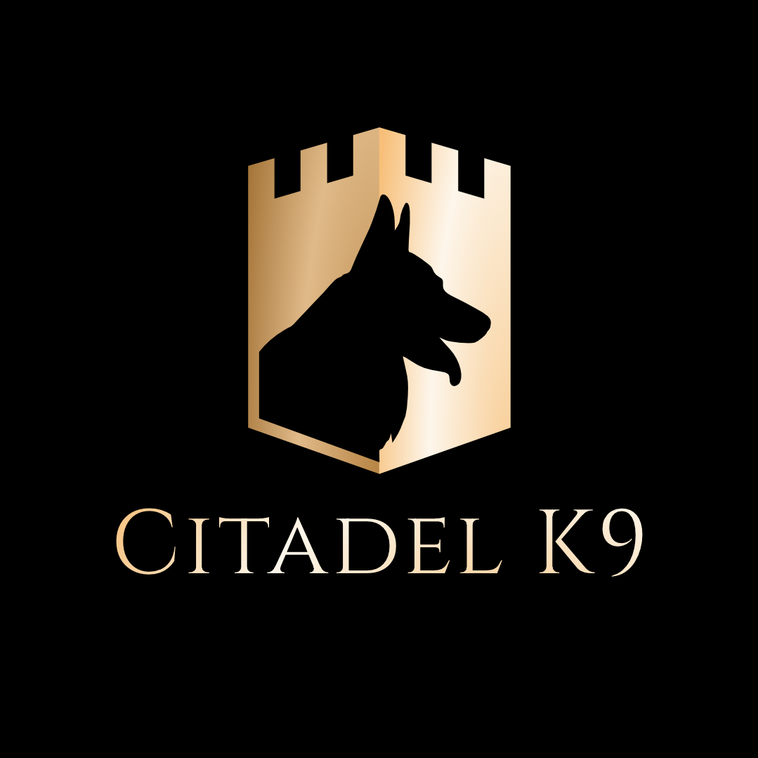 Citadel k9 medium