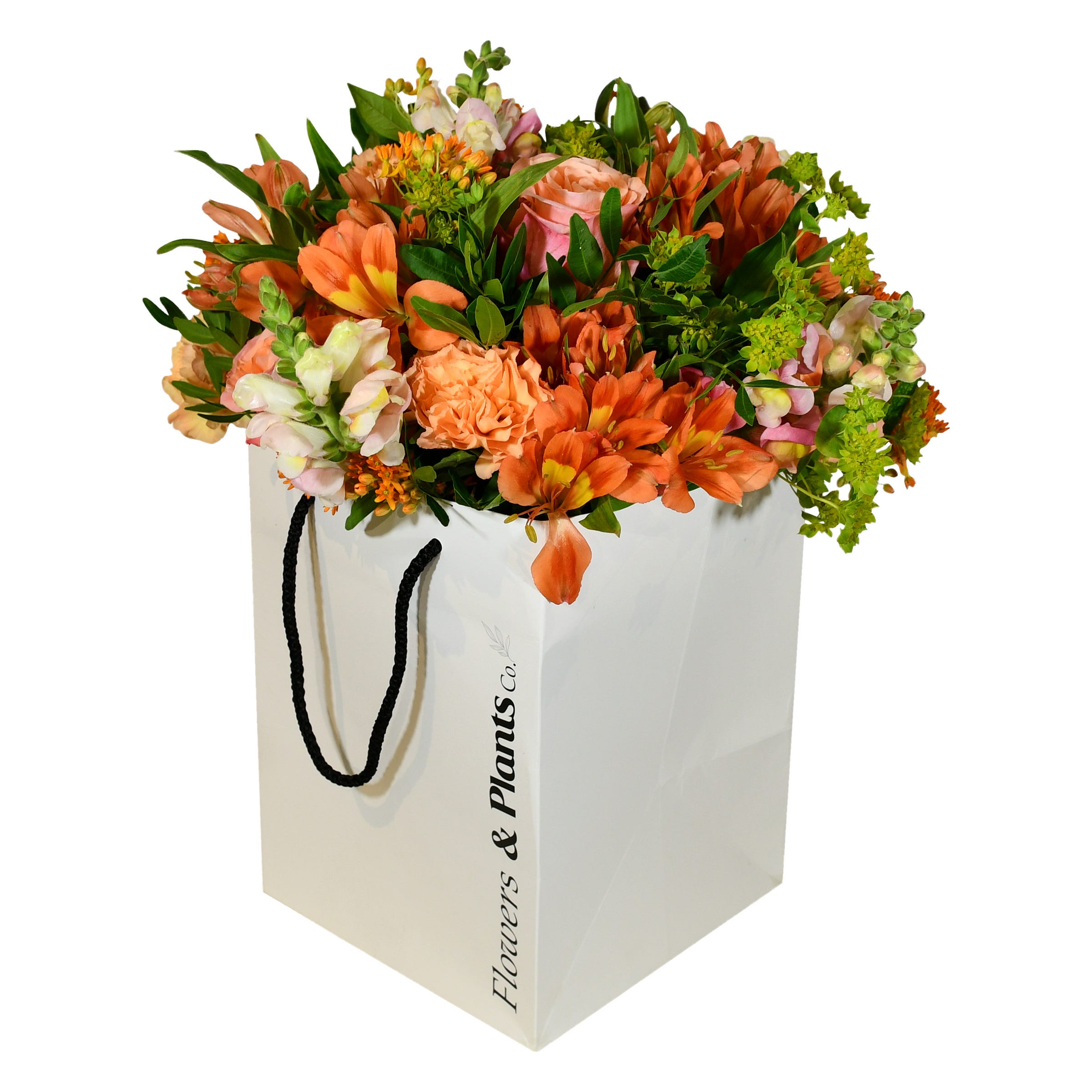 About Flowers & Plants Co. Medium