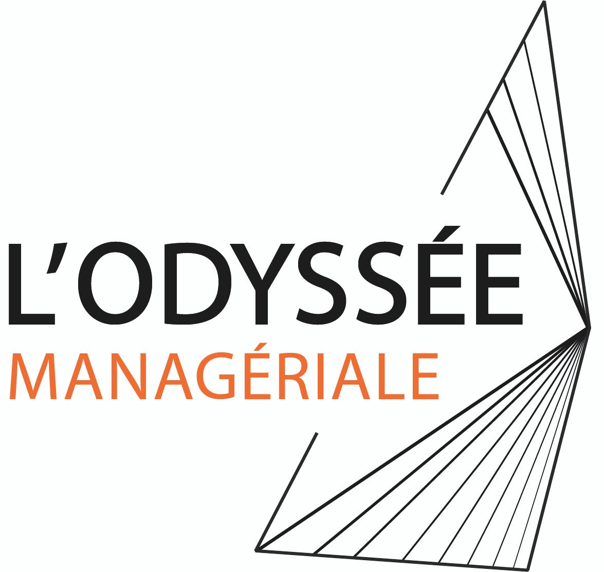 About L'Odyssée Managériale Medium