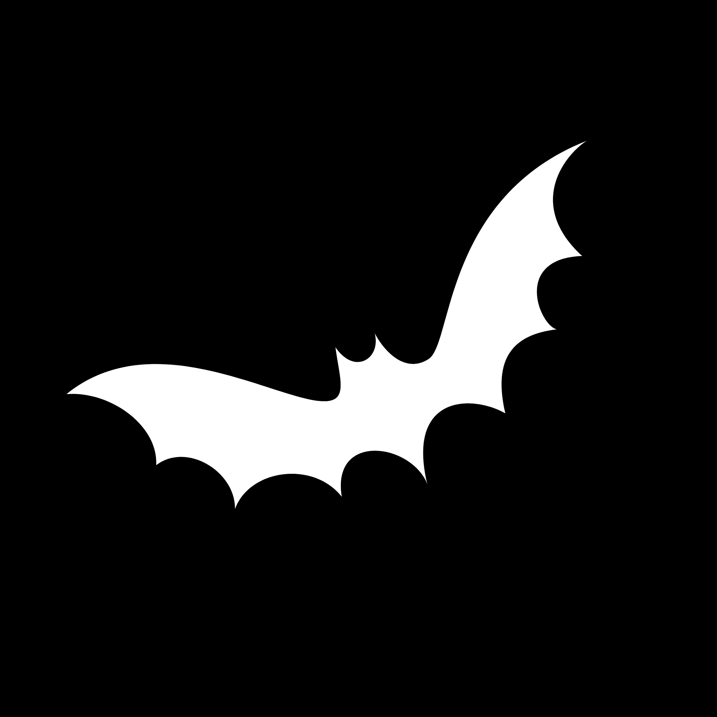 whitebatcodes-medium