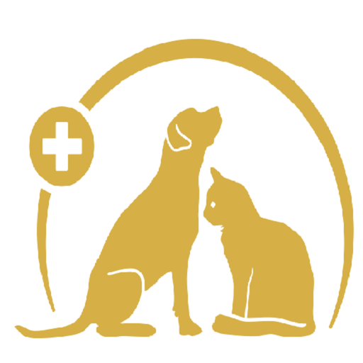 About Pet Animals Care Medium