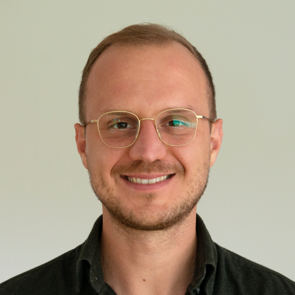 Willem dewulf medium