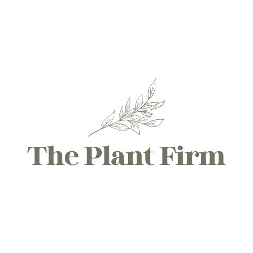 The Plant Firm Medium the-plant-firm-medium