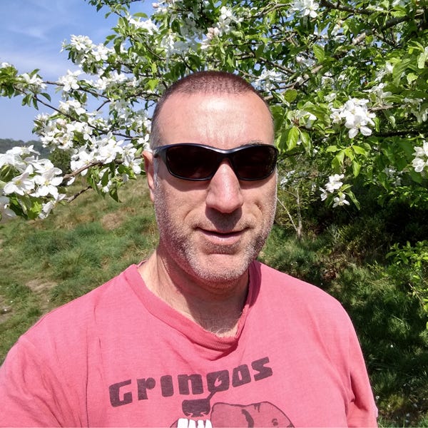 Dave Lewis Writer Medium