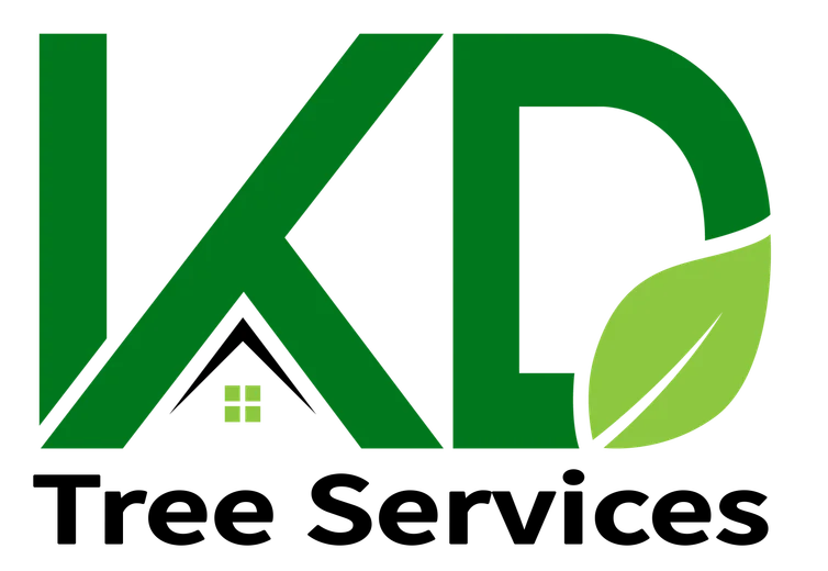 KD Tree Services Albany NY Medium Kd tree services albany ny medium