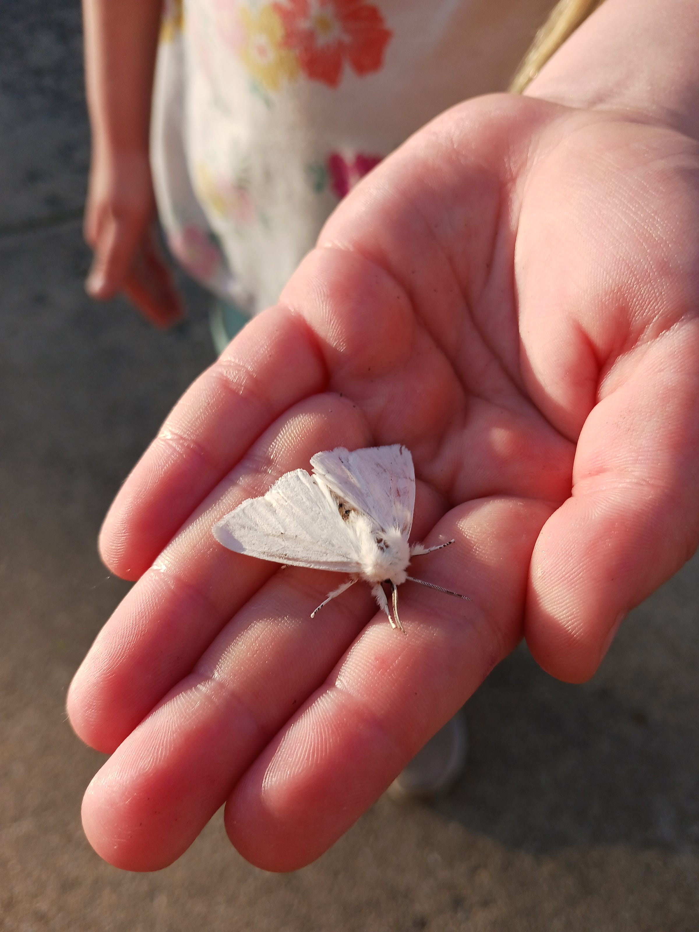 A Waken Medium a-waken-medium