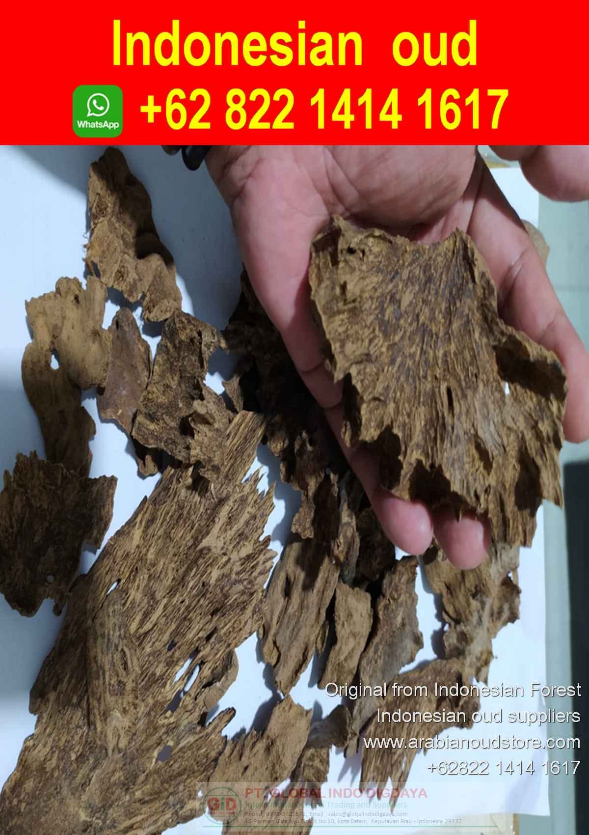 افضل انواع العود الاندونيسي (WhatsApp) (+62) 857–6639–6781 - Arabian Oud  Store Indonesia - Medium