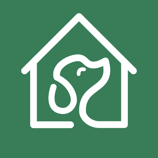 Sploot Dog Grooming in London Medium