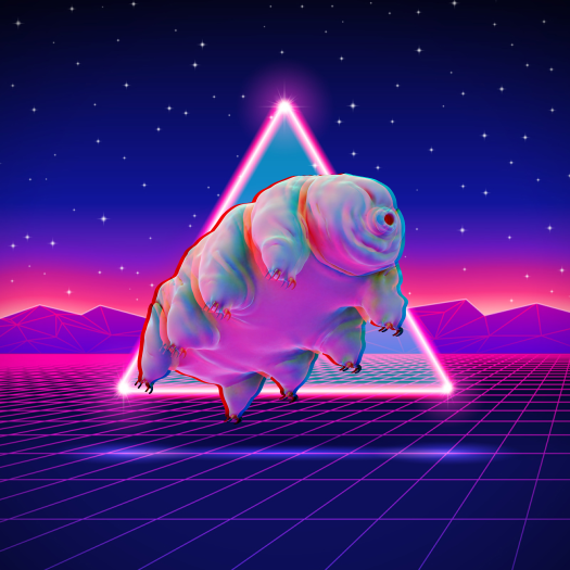 Ilya Kaznacheev Medium