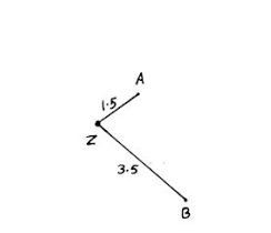 First two branches of the phylogenetic tree