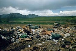 Medio Ambiente devastado. Donde la paz no tiene raices. Fuente: Unsplash.