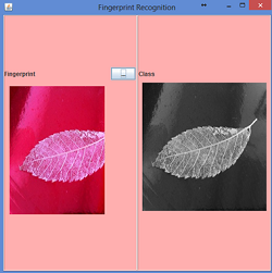 Fingerprint Classification using MLP — a pet project | by Monica Sam ...