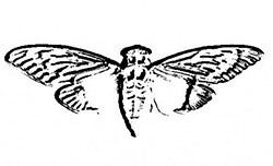 Cicada 3301: The Internet’s Most Impossible Puzzle