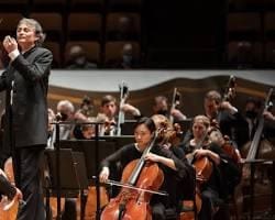 Mengenal Ragam Alat Musik Orkestra: Simfoni Keindahan dalam Satu Panggung