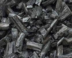 The ancient discovery of charcoal points to devastating forest fires