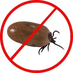 Orkin Pest Control Company in USA | by digital2017 | Medium