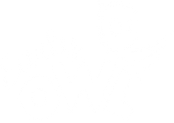 EarlyOwl