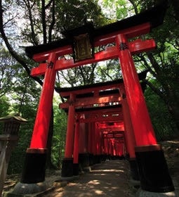 Shinto: Way of the Spirit (gods)