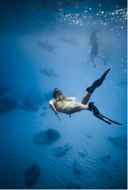 Why the Florida Keys Are a Must-Visit for Nature Lovers