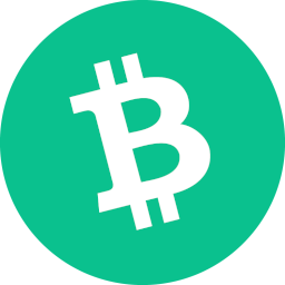 Bitcoin Cash Pay-to-Script-Hash (P2SH): Past, Present, and Future