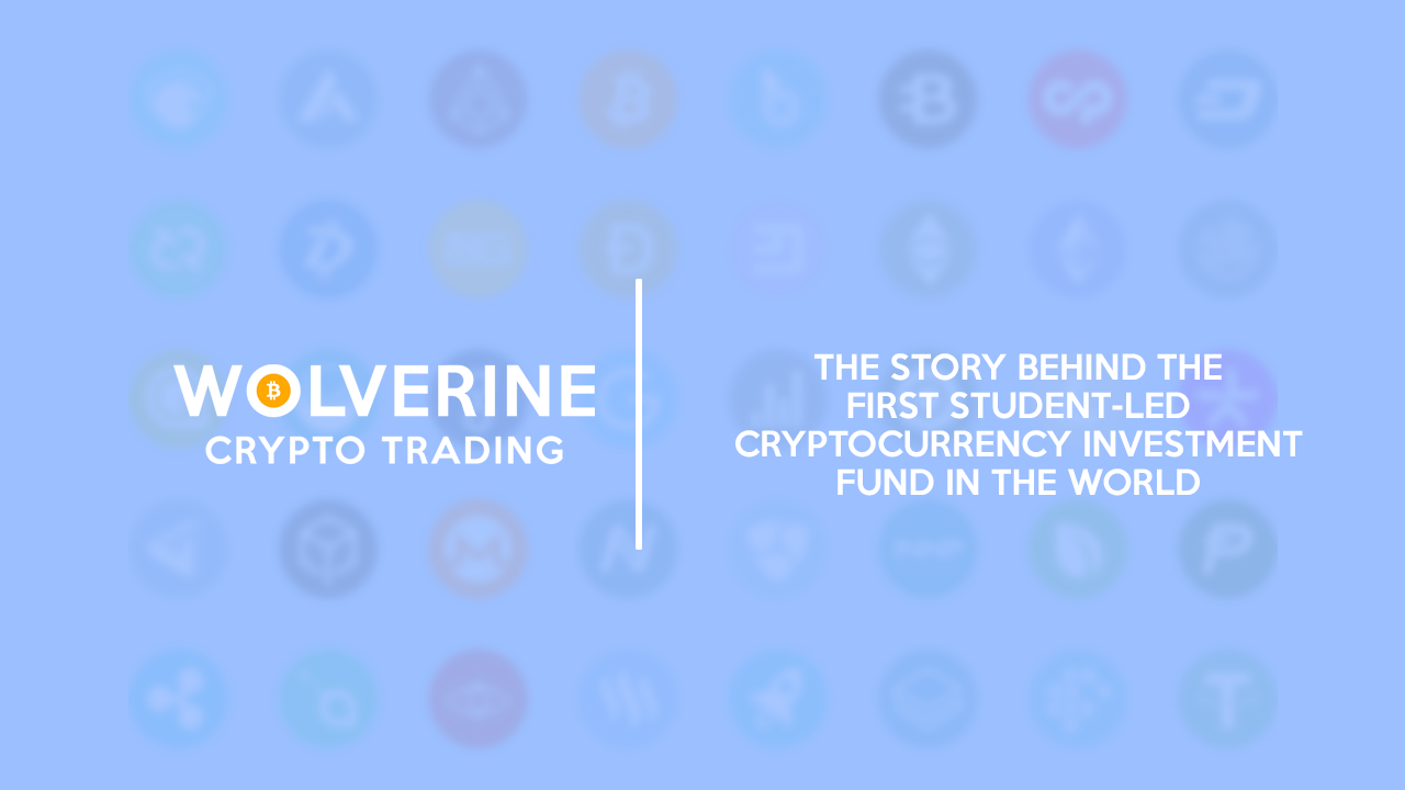 How It All Began: Wolverine Crypto Trading | by Danny Sheridan | Wolverine  Blockchain | Medium