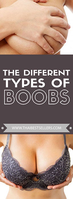 Types of Boobs, by Popular Thai Brands