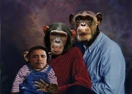 The Vile Fascination with the Monkey Image of the Obama’s (and African-Americans)