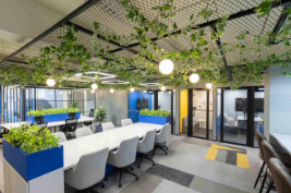 Interior Design & Decoration Pakistan