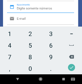 Figura 2: Exemplo de um campo de texto numérico. Fonte: Autoria própria.