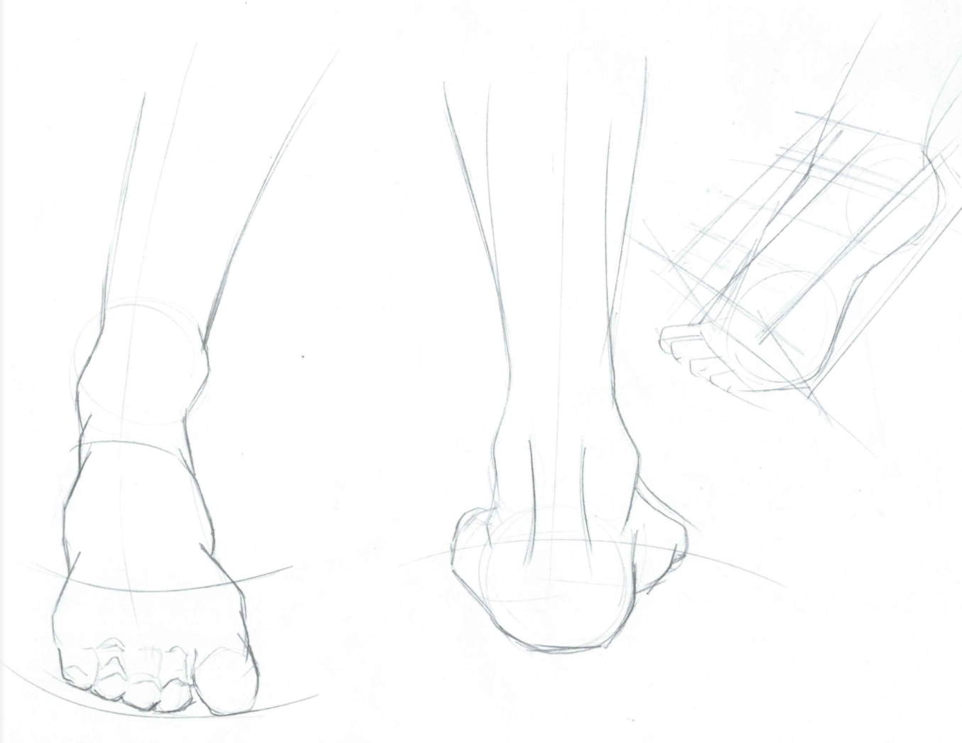 sketch of human feet Stock Vector  Adobe Stock
