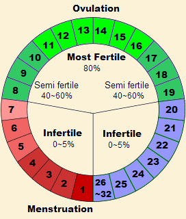 Ovulation: Signs and Symptoms, And How to Calculate For Your Safe And Fertile  Days., by Gladys Nduku